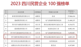 連續六年！德勝集團上榜“四川民營企業100強”